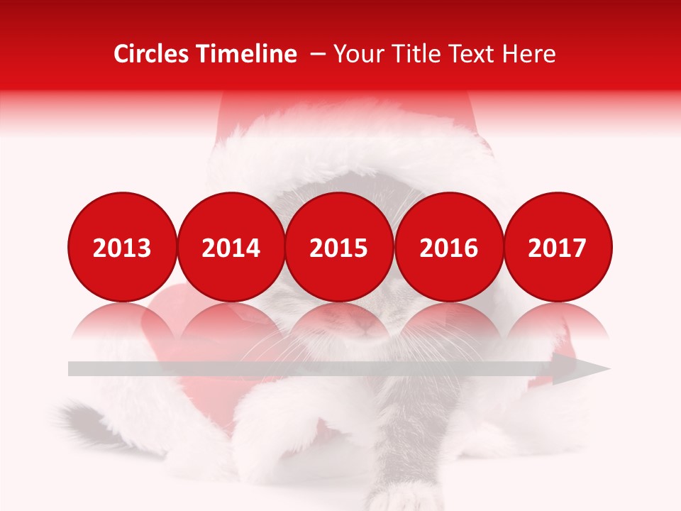 Tabby Christmas Kitten PowerPoint Template