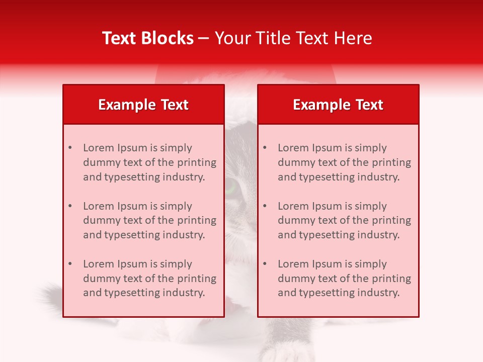 Tabby Christmas Kitten PowerPoint Template