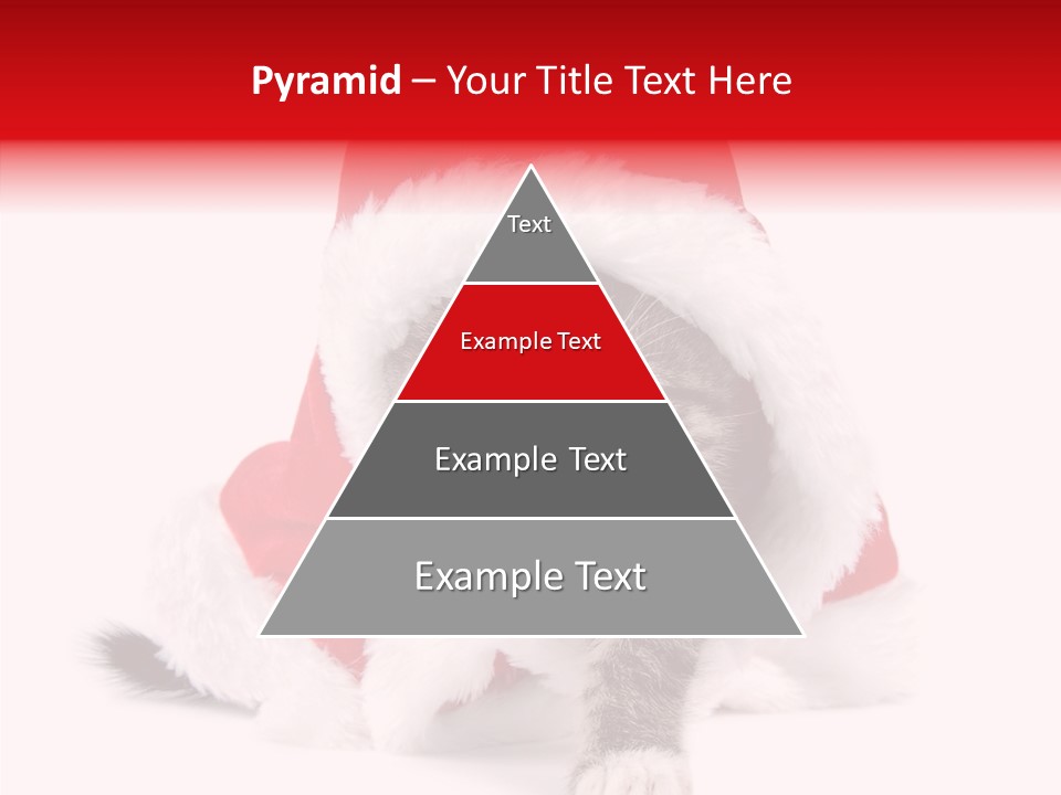 Tabby Christmas Kitten PowerPoint Template