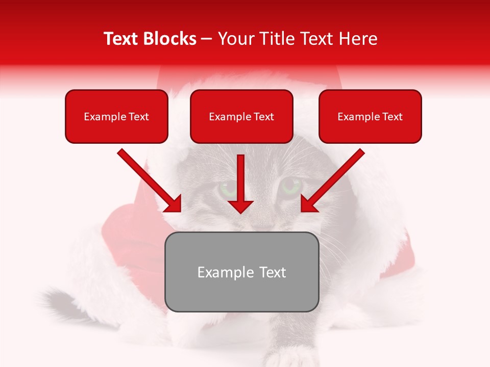 Tabby Christmas Kitten PowerPoint Template