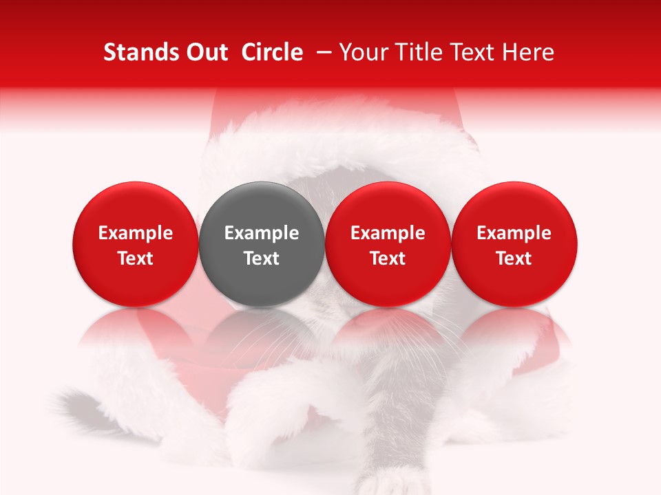 Tabby Christmas Kitten PowerPoint Template