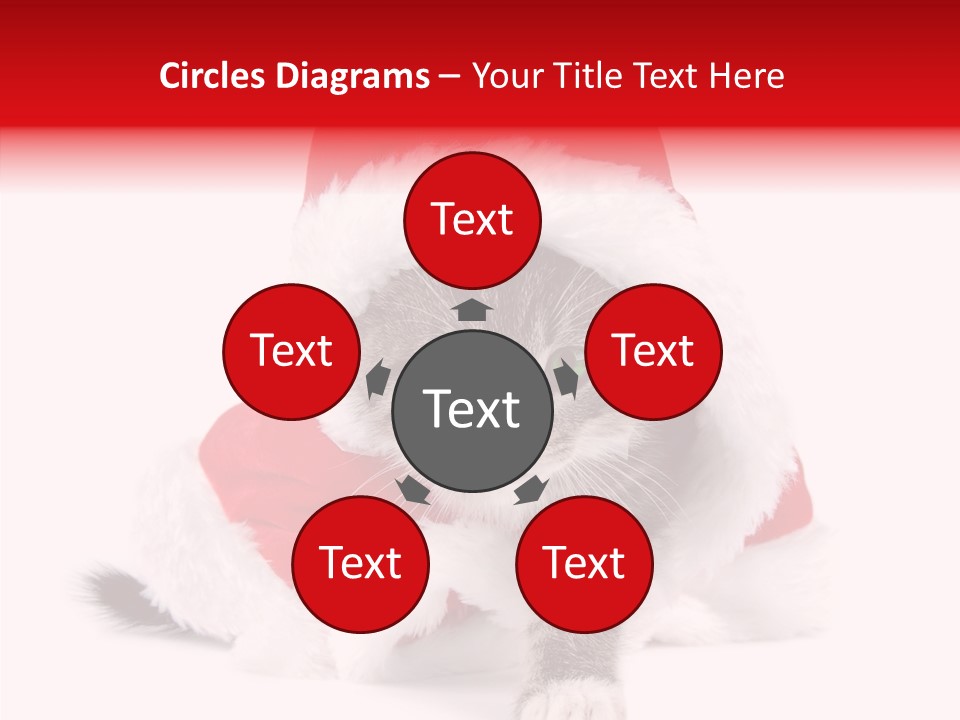 Tabby Christmas Kitten PowerPoint Template