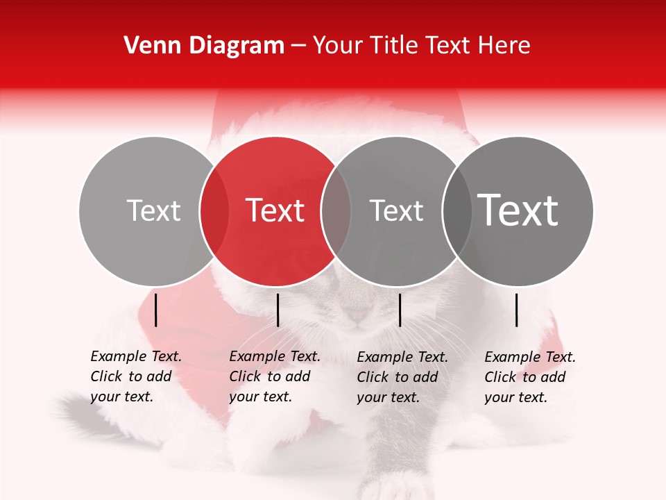 Tabby Christmas Kitten PowerPoint Template