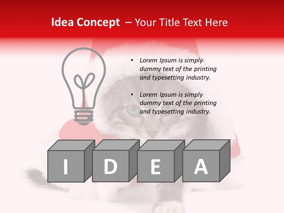 Tabby Christmas Kitten PowerPoint Template