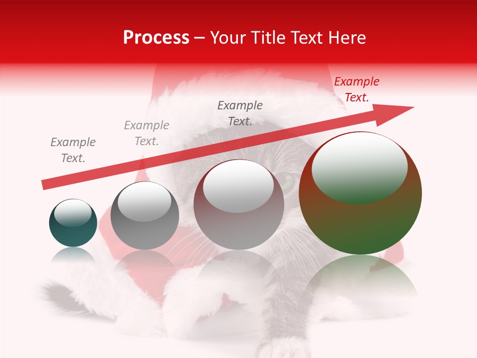 Tabby Christmas Kitten PowerPoint Template