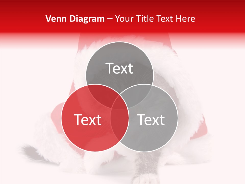 Tabby Christmas Kitten PowerPoint Template