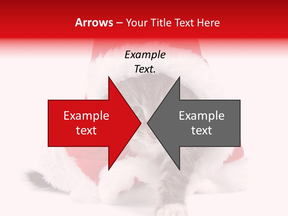 Tabby Christmas Kitten PowerPoint Template