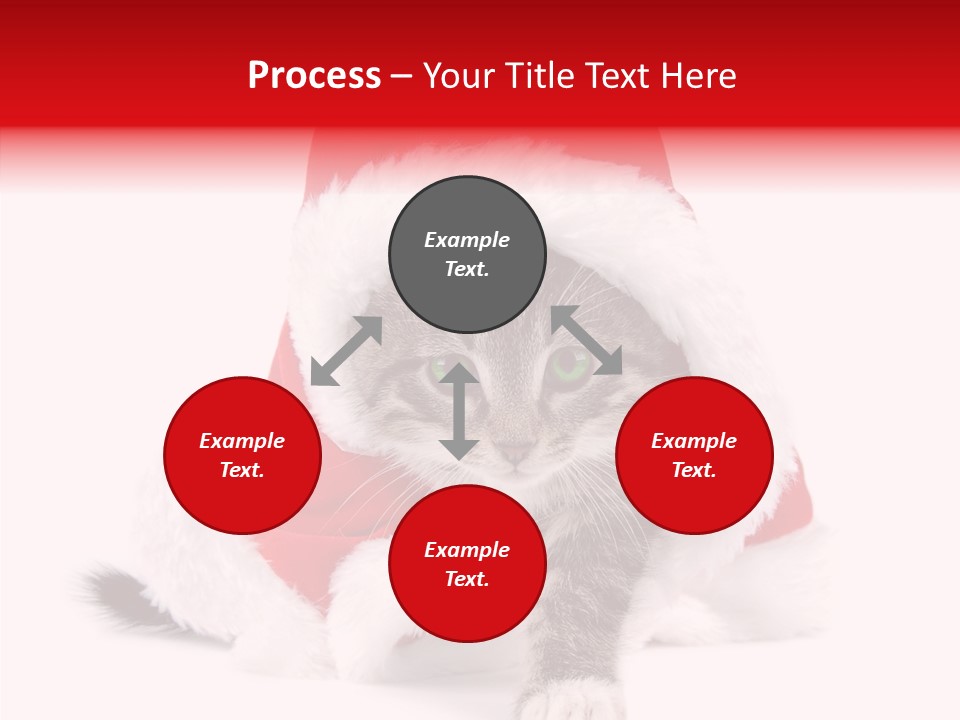 Tabby Christmas Kitten PowerPoint Template