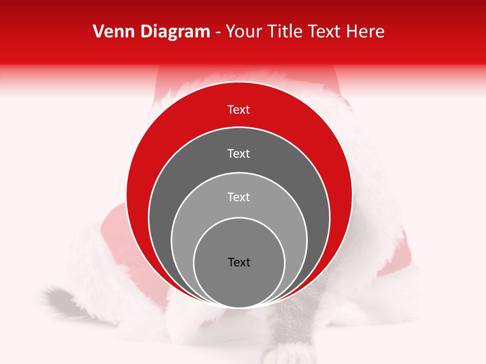 Tabby Christmas Kitten PowerPoint Template