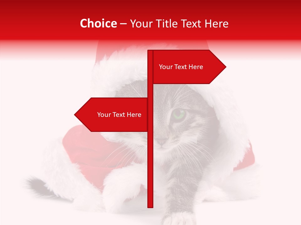 Tabby Christmas Kitten PowerPoint Template