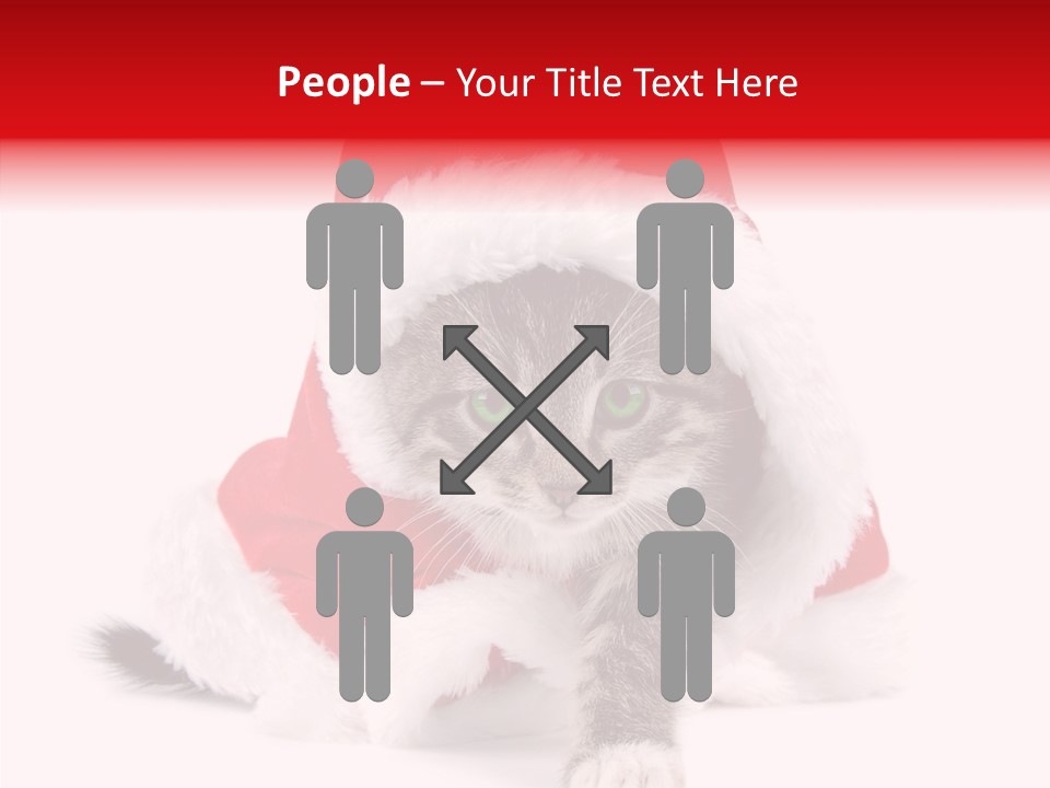 Tabby Christmas Kitten PowerPoint Template
