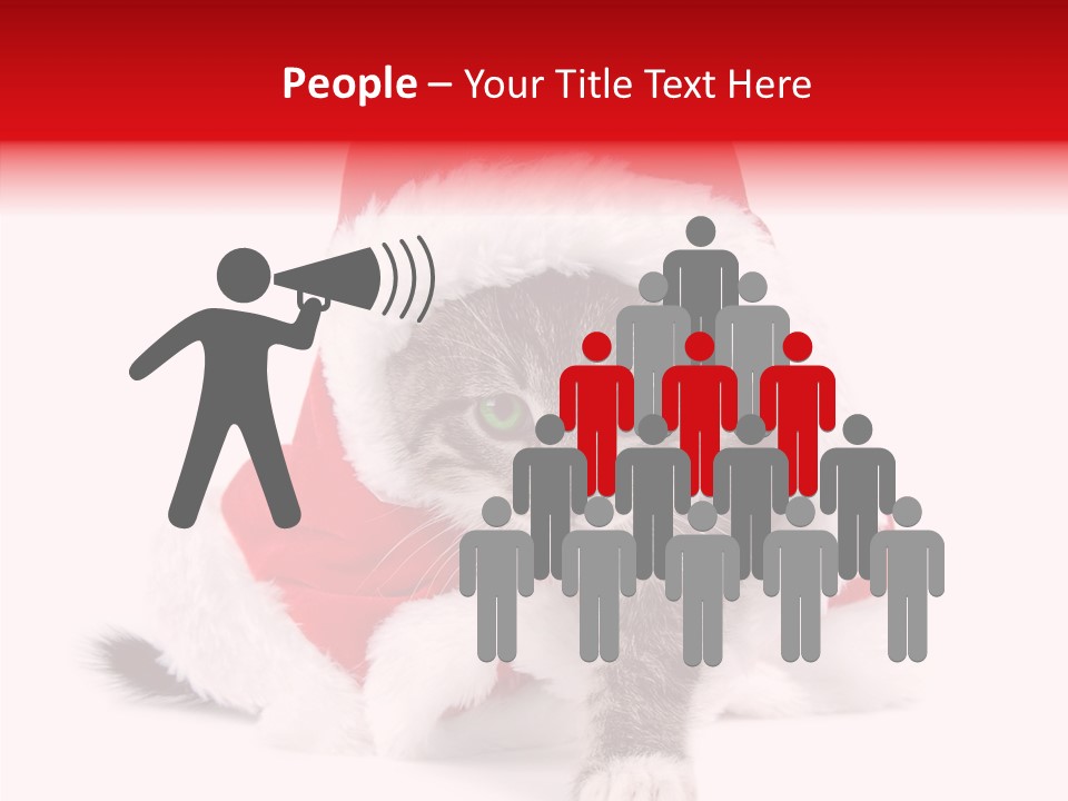 Tabby Christmas Kitten PowerPoint Template