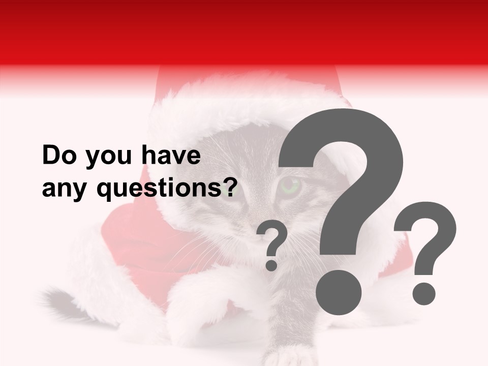 Tabby Christmas Kitten PowerPoint Template