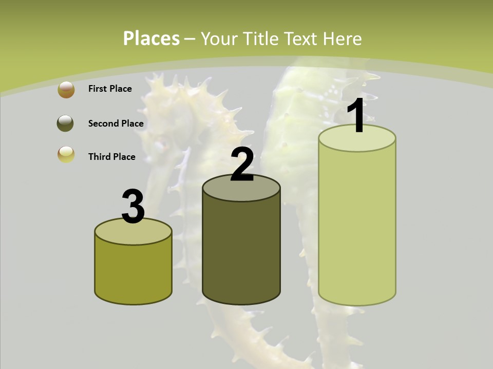 A Sea Horse On A Blue And Green Background PowerPoint Template