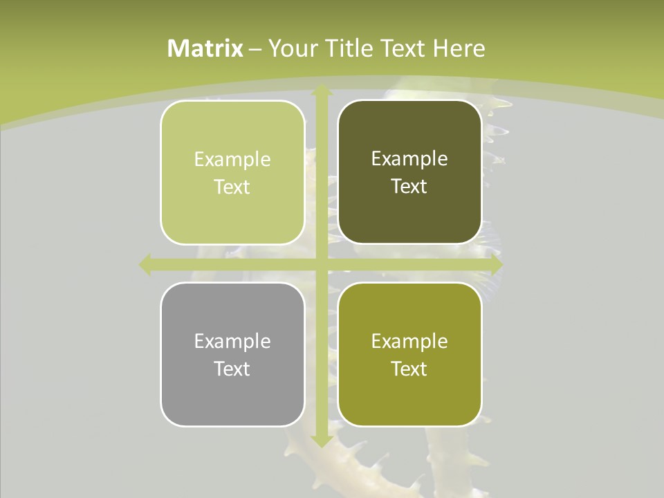 A Sea Horse On A Blue And Green Background PowerPoint Template