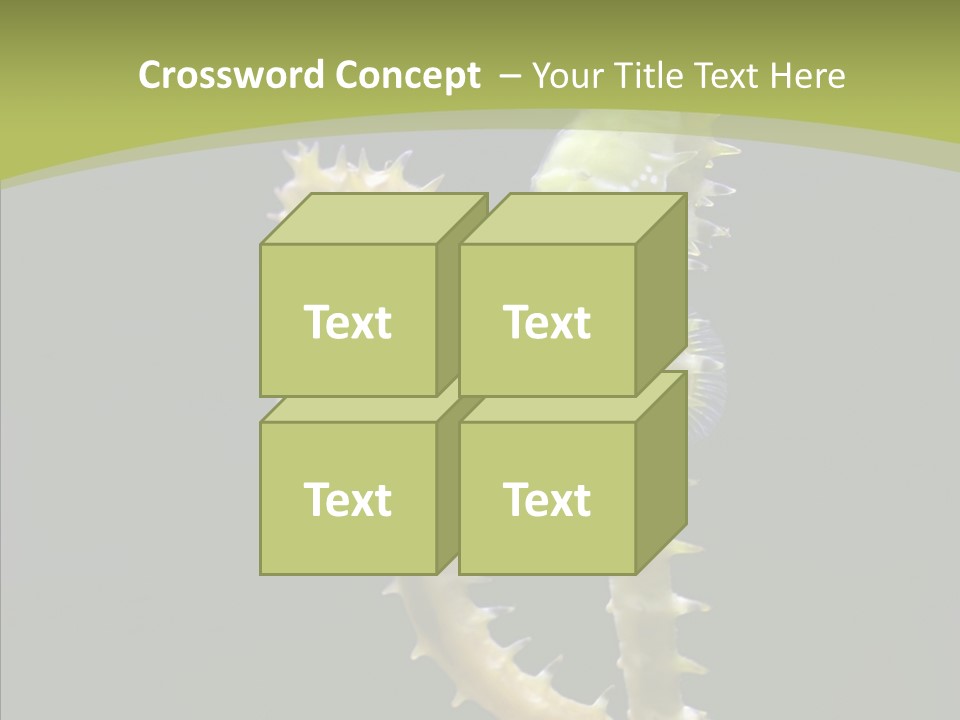 A Sea Horse On A Blue And Green Background PowerPoint Template