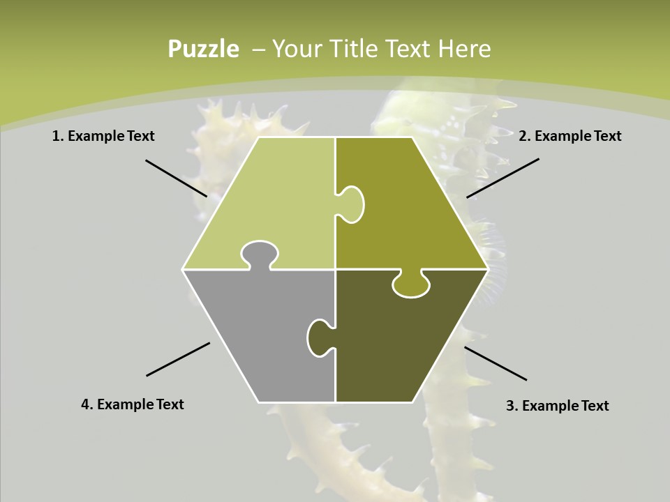 A Sea Horse On A Blue And Green Background PowerPoint Template