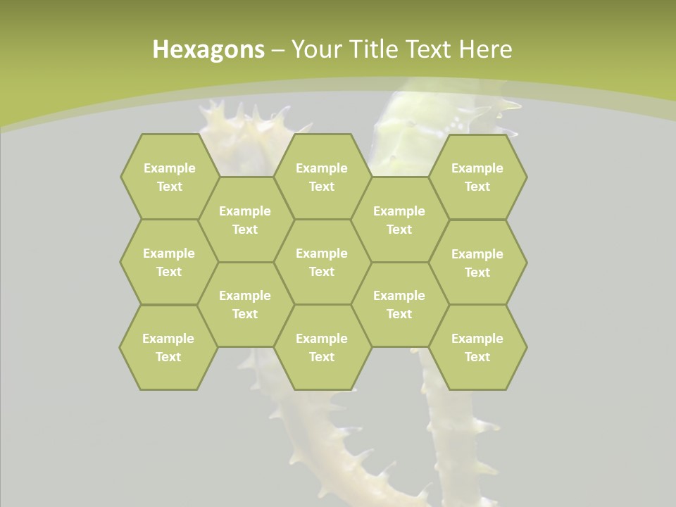 A Sea Horse On A Blue And Green Background PowerPoint Template