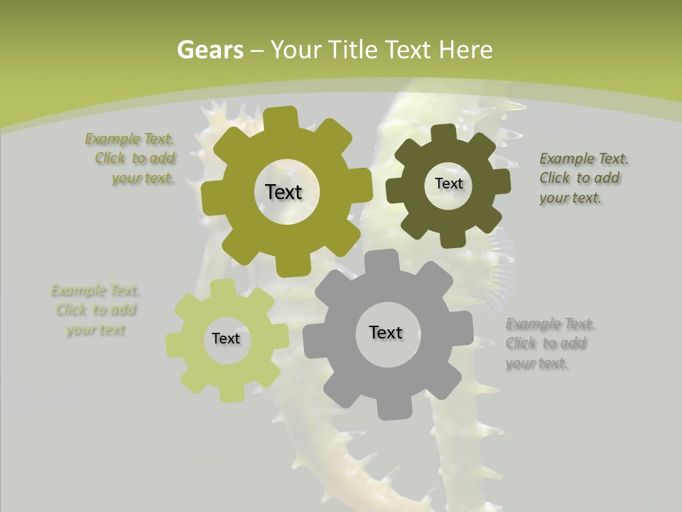 A Sea Horse On A Blue And Green Background PowerPoint Template