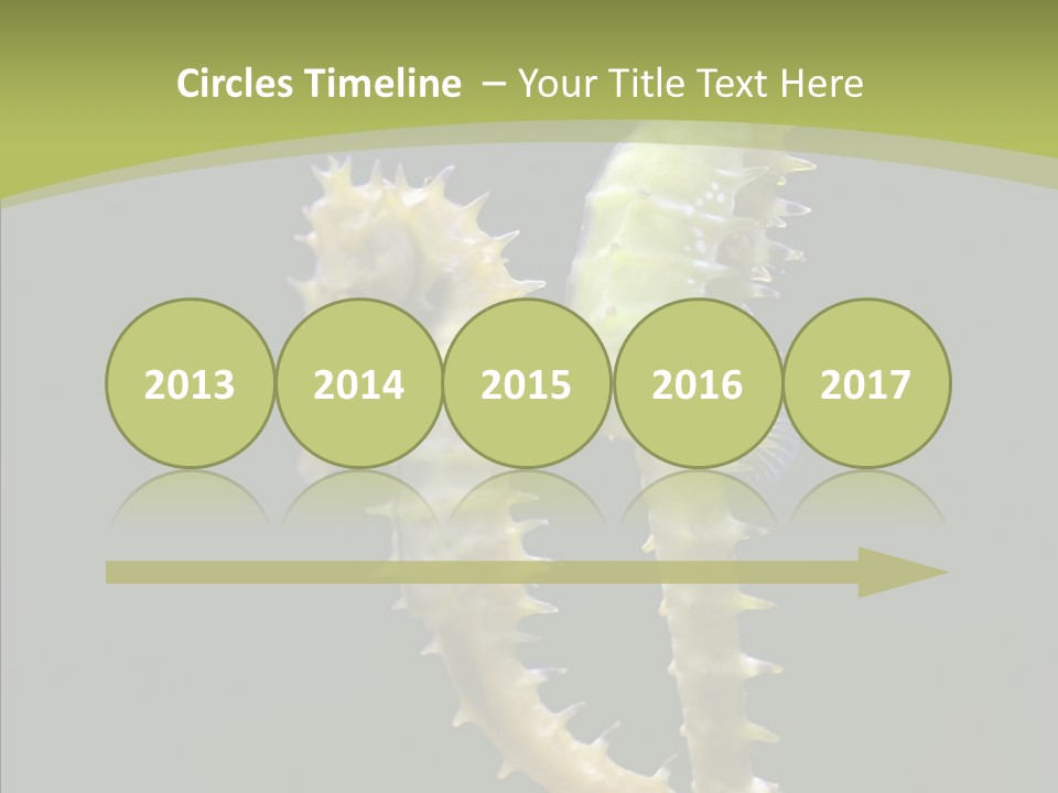 A Sea Horse On A Blue And Green Background PowerPoint Template