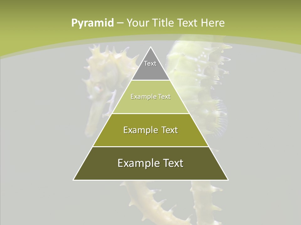 A Sea Horse On A Blue And Green Background PowerPoint Template