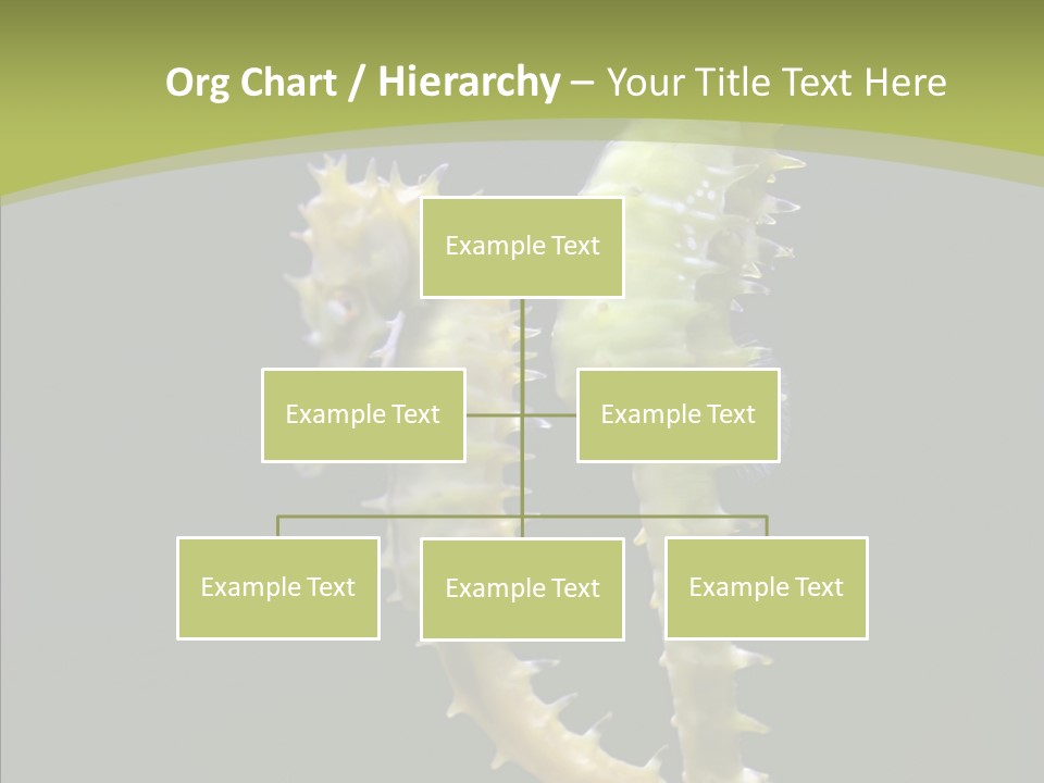 A Sea Horse On A Blue And Green Background PowerPoint Template