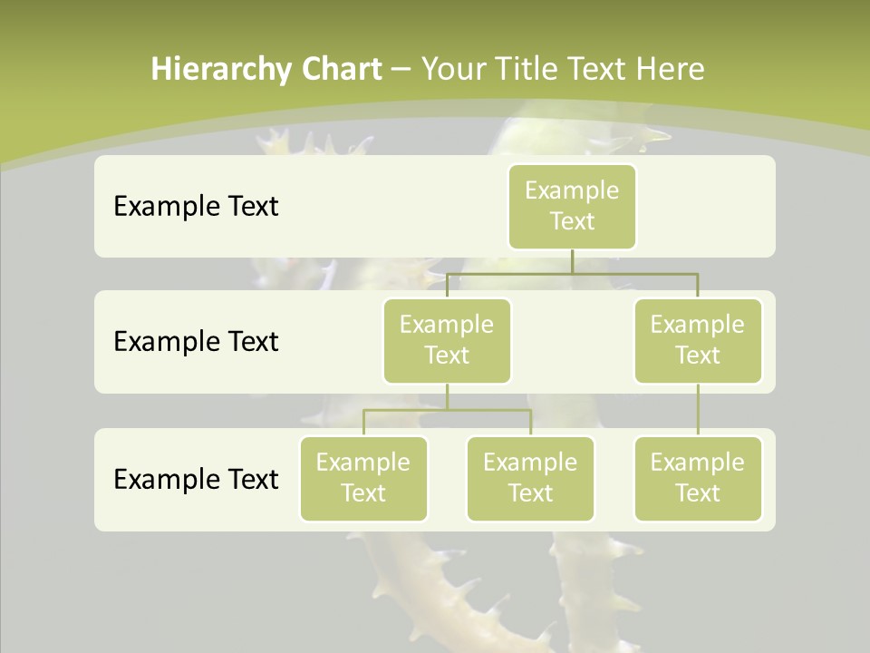 A Sea Horse On A Blue And Green Background PowerPoint Template