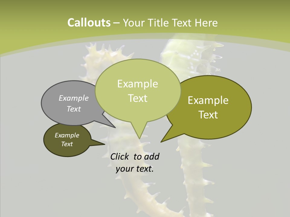 A Sea Horse On A Blue And Green Background PowerPoint Template