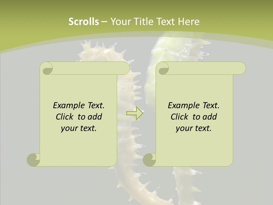 A Sea Horse On A Blue And Green Background PowerPoint Template