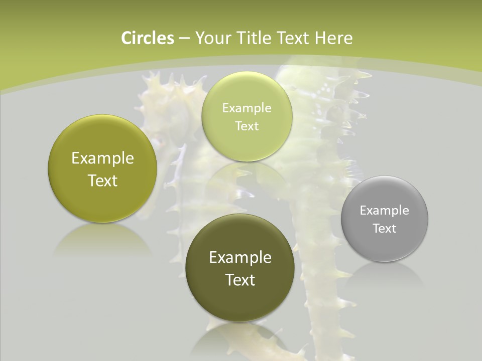 A Sea Horse On A Blue And Green Background PowerPoint Template