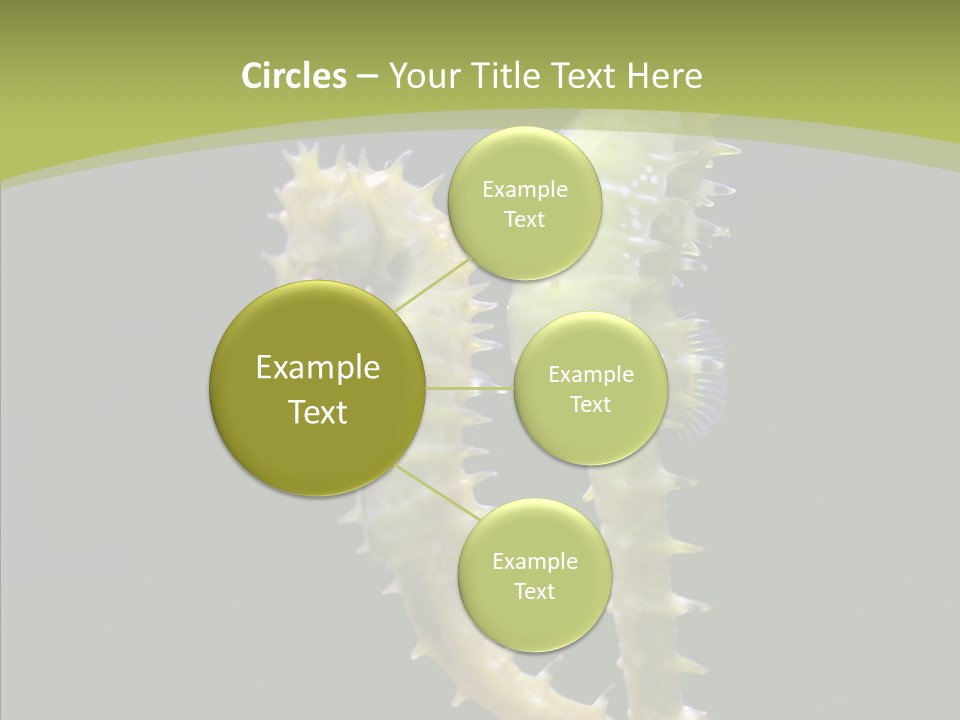 A Sea Horse On A Blue And Green Background PowerPoint Template