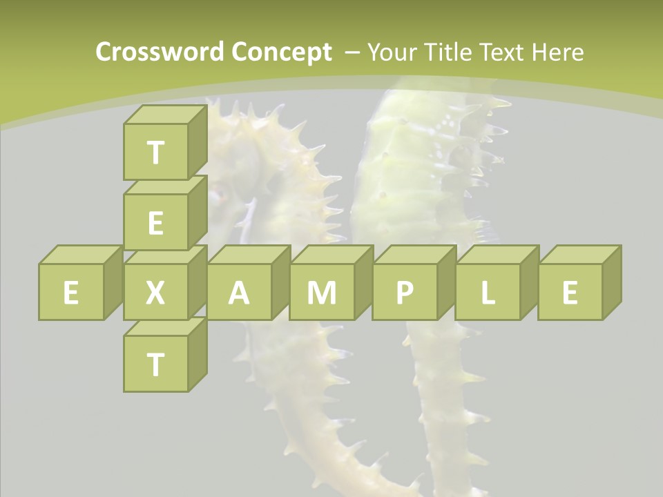 A Sea Horse On A Blue And Green Background PowerPoint Template