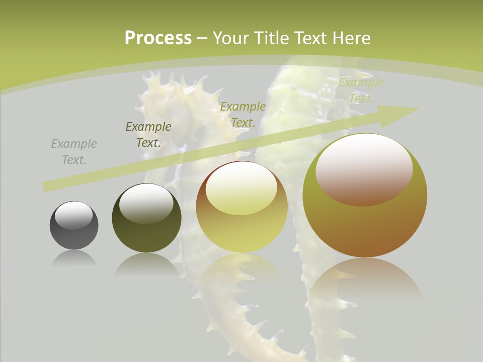 A Sea Horse On A Blue And Green Background PowerPoint Template