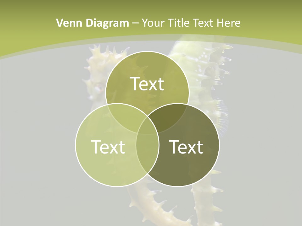 A Sea Horse On A Blue And Green Background PowerPoint Template