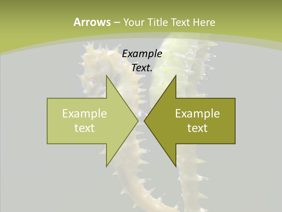 A Sea Horse On A Blue And Green Background PowerPoint Template