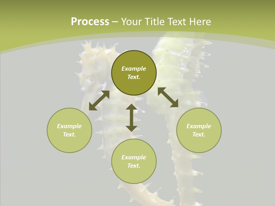 A Sea Horse On A Blue And Green Background PowerPoint Template