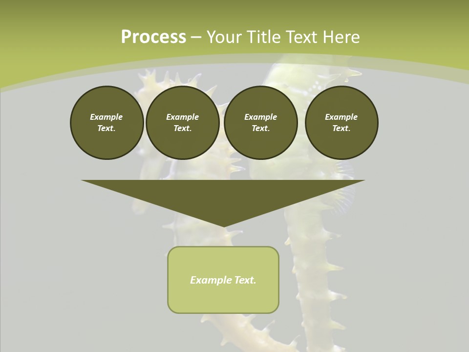 A Sea Horse On A Blue And Green Background PowerPoint Template