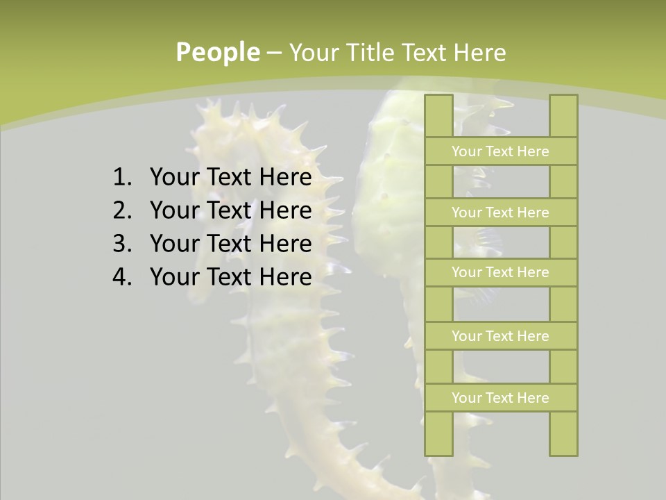 A Sea Horse On A Blue And Green Background PowerPoint Template