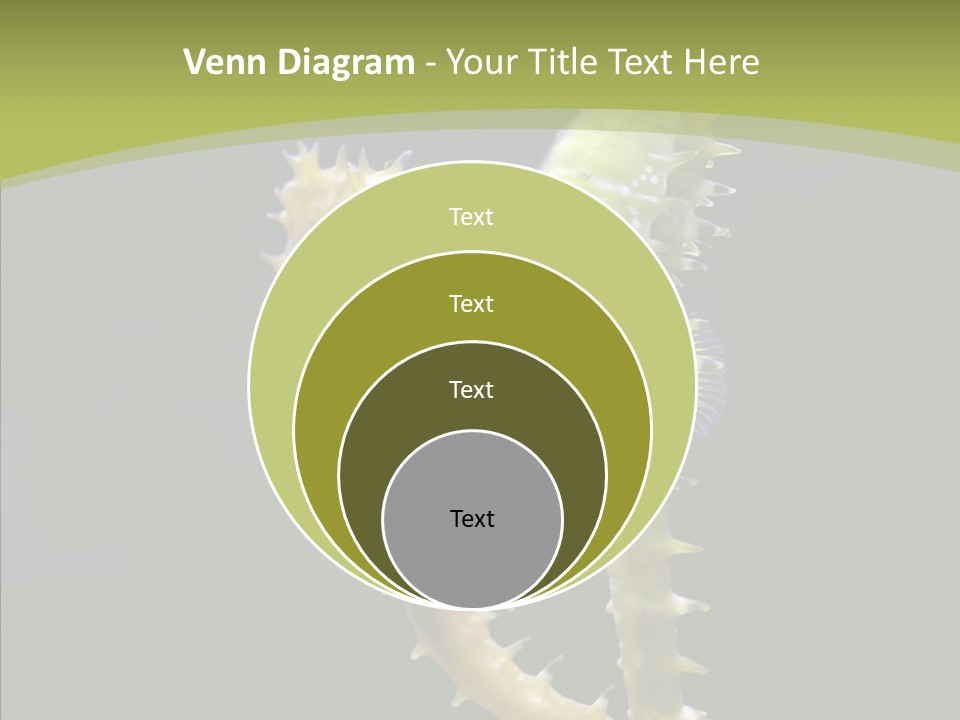 A Sea Horse On A Blue And Green Background PowerPoint Template