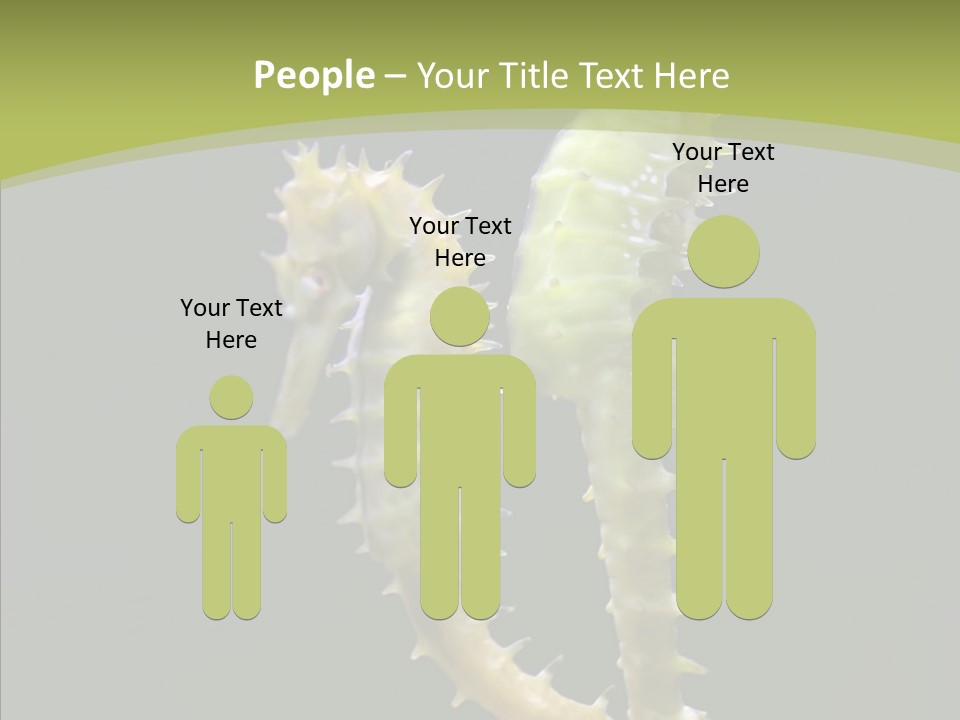 A Sea Horse On A Blue And Green Background PowerPoint Template