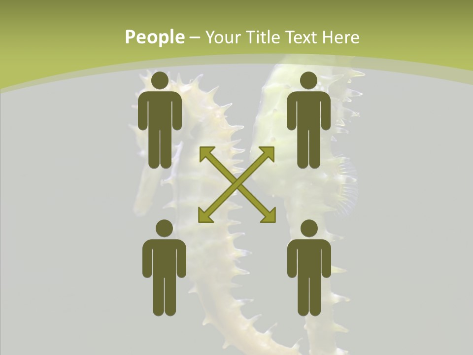 A Sea Horse On A Blue And Green Background PowerPoint Template