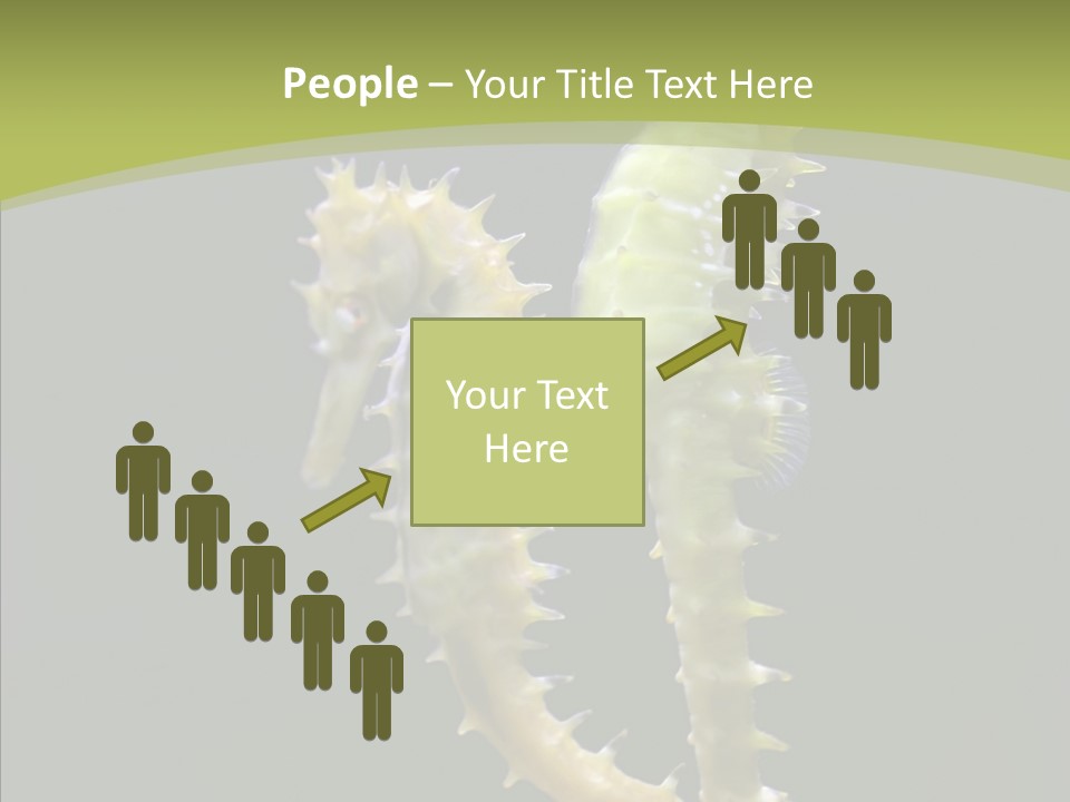 A Sea Horse On A Blue And Green Background PowerPoint Template