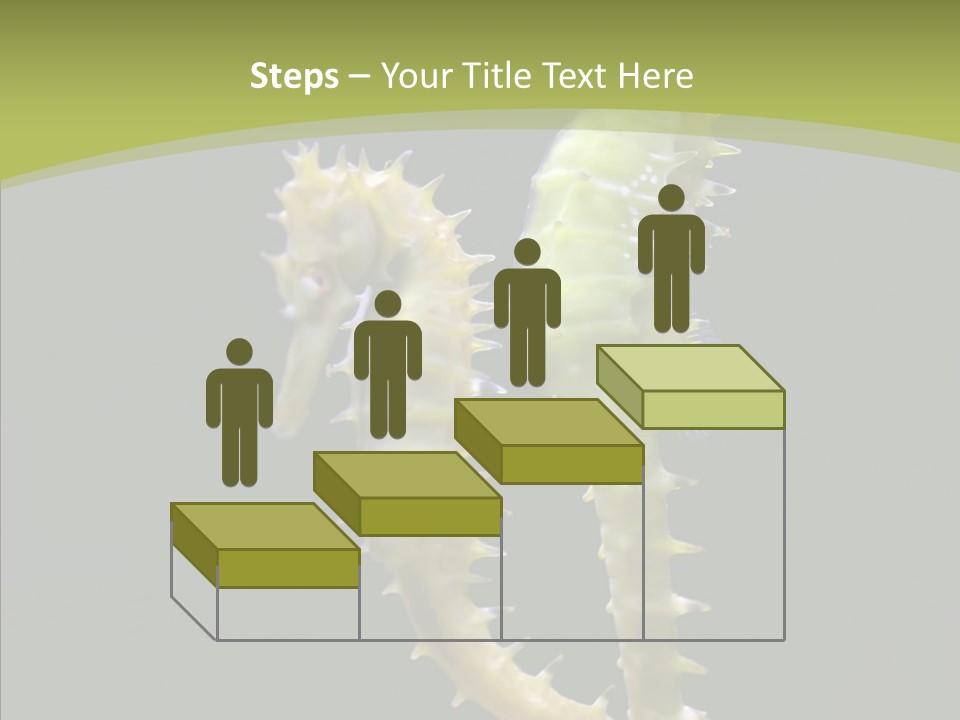 A Sea Horse On A Blue And Green Background PowerPoint Template