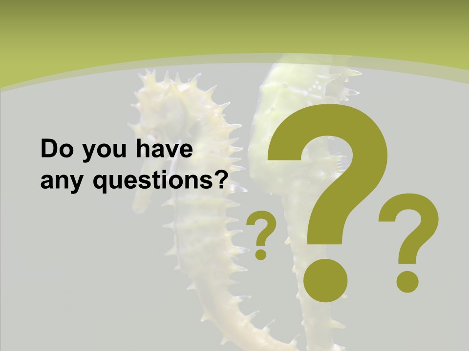 A Sea Horse On A Blue And Green Background PowerPoint Template