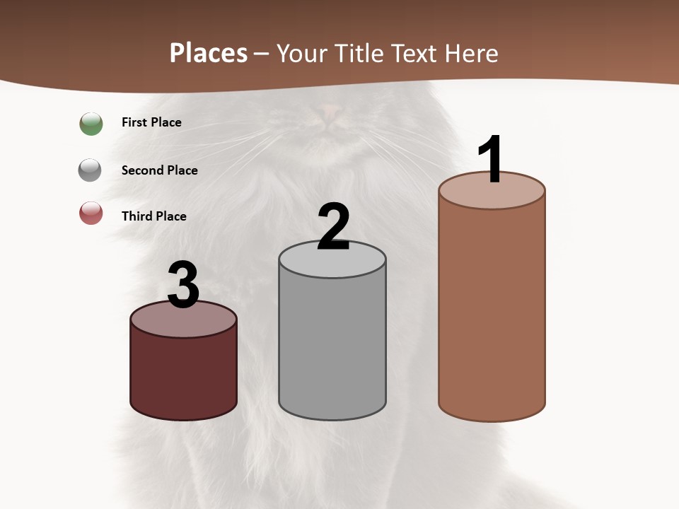 Furry Soft Cat PowerPoint Template