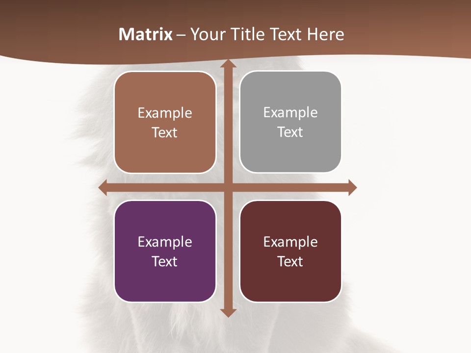 Furry Soft Cat PowerPoint Template