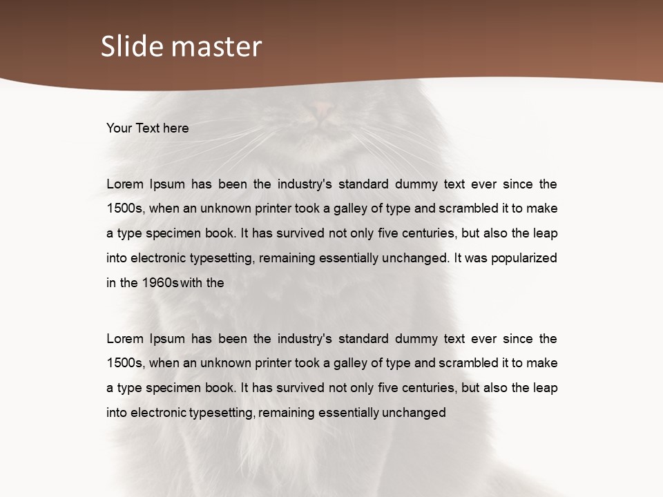 Furry Soft Cat PowerPoint Template