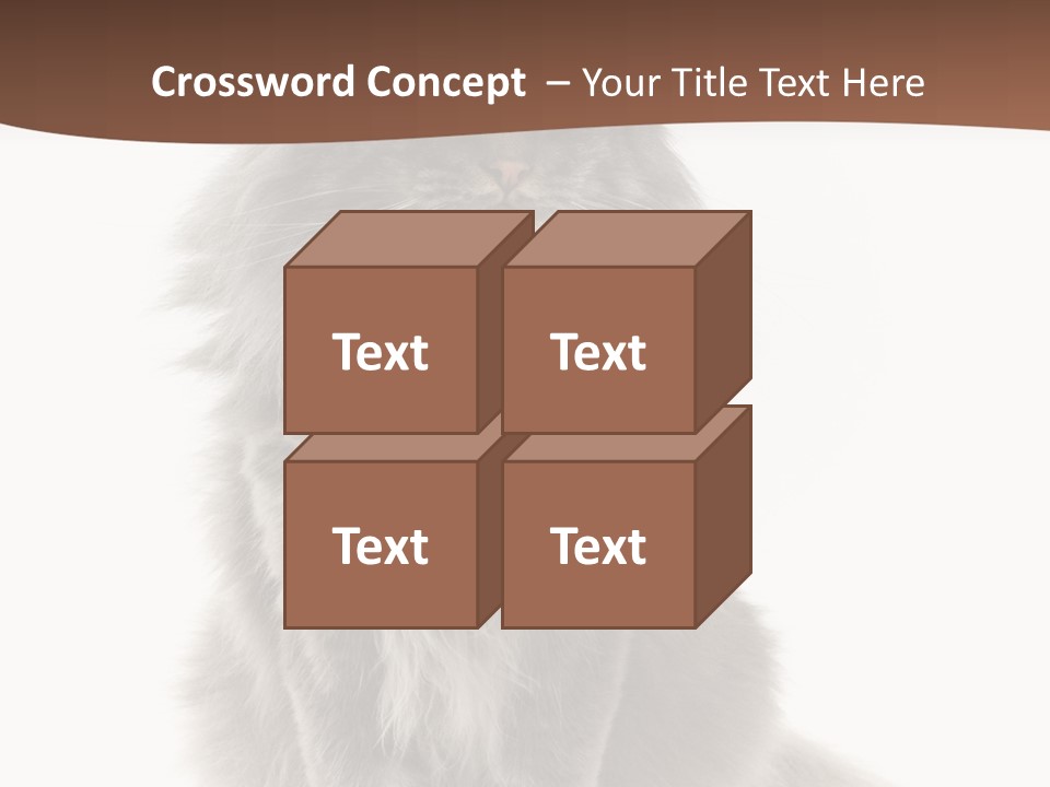 Furry Soft Cat PowerPoint Template