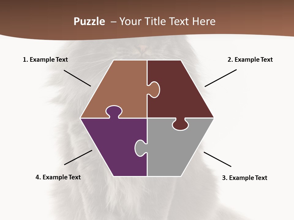 Furry Soft Cat PowerPoint Template