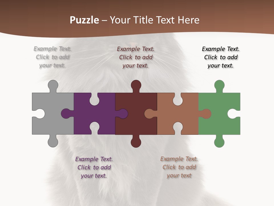 Furry Soft Cat PowerPoint Template